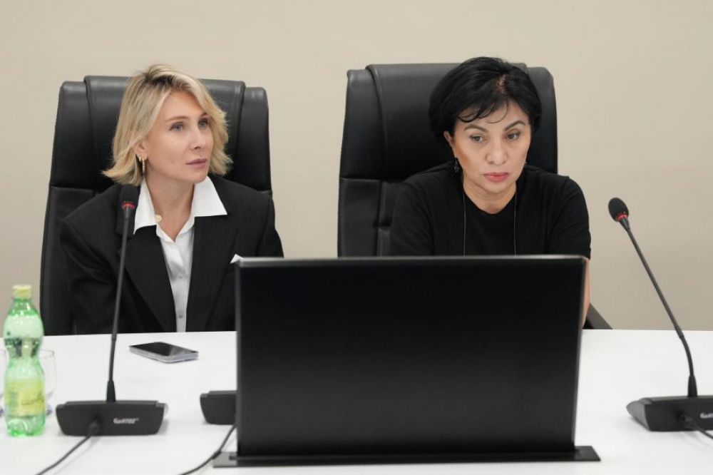 A meeting dedicated to the International Day for the Elimination of Violence against Women